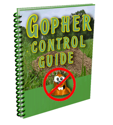 Gopher Control Guide
